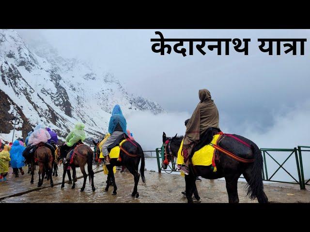 Kedarnath Yatra 2023 | Kedarnath Tour Guide Vlog | Sonprayag To Kedarnath 16km Trekking | Kedarnath