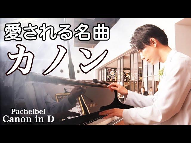 カノン - パッヘルベル / Canon in D - Pachelbel | 三浦コウ