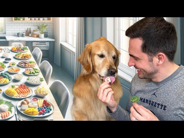 The Ultimate Dog Taste Tournament