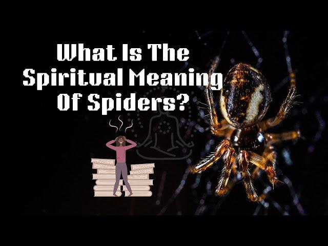 What Is The Spiritual Meaning Of Spiders. Spiritual Meaning Of Black Spiders In House .New Video