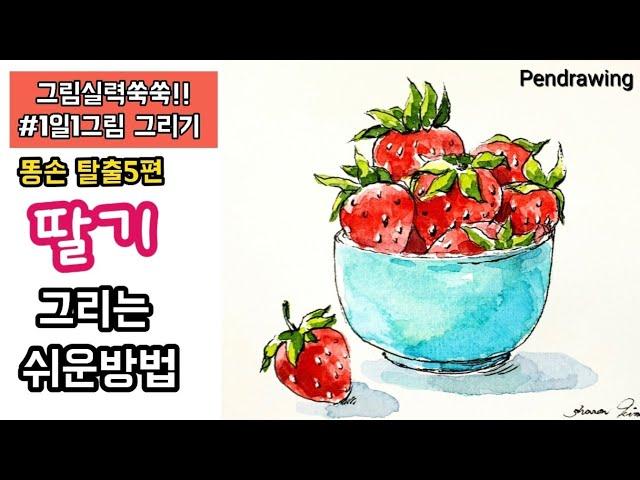 [펜스케치]기초/과일 쉽게그리기/딸기/strawberry drawing(pen and watercolor)