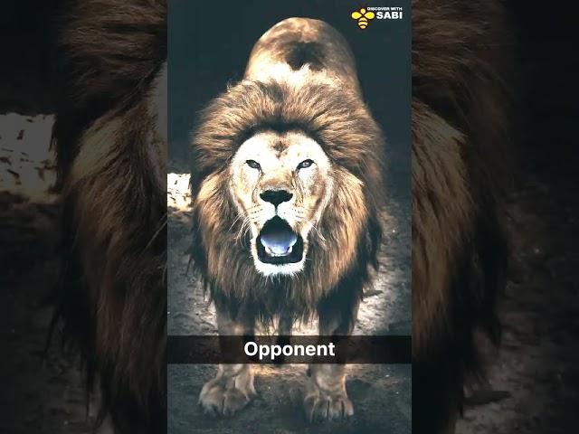 Tiger - One of the most alert animals | Discover with sabi