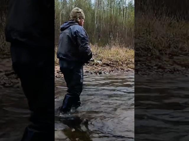 Ленок #рыбалка #рыба #ленок #горнаярека #fishing #fish #nature #river #приключения #природа #тайга