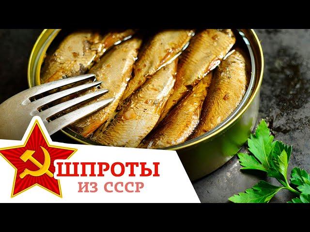 ДЕЛИКАТЕС ИЗ СССР — КАК ПРИГОТОВИТЬ ШПРОТЫ