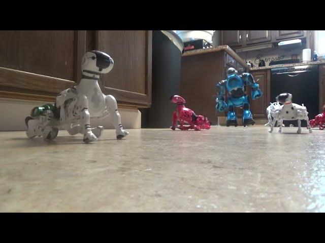 Robopets