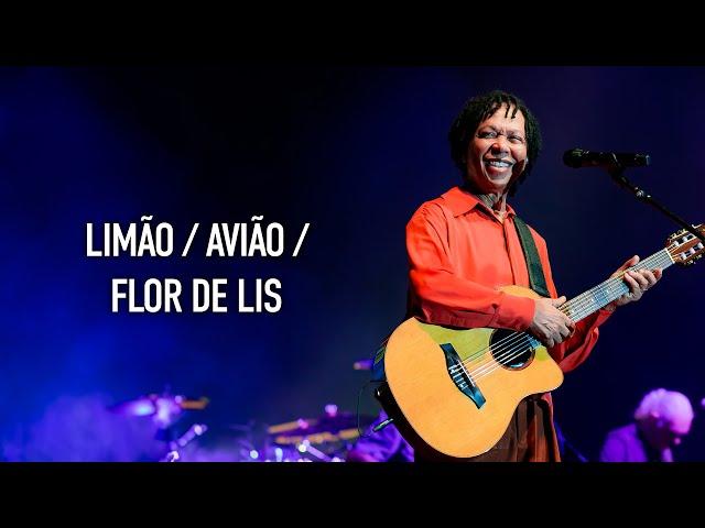 Djavan - Limão\Avião\Flor de Lis | D Ao Vivo Maceió (Clipe Oficial)