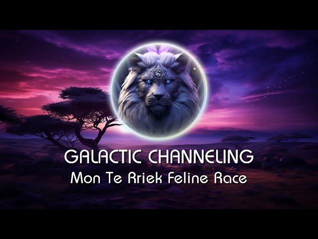 Mon Te Rriek Feline Race - Galactic Weekly Channeling Series