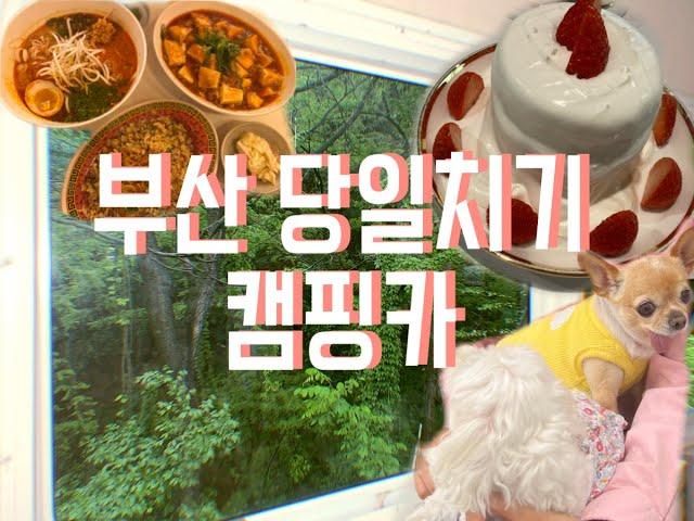 EP2.브이로그｜부산당일치｜반핀｜향미공간｜글램핑｜캠핑카