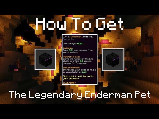 How to Get the Legendary Enderman Pet | Hypixel Skyblock