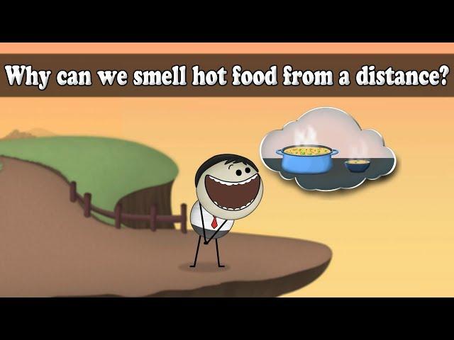 Diffusion - Why can we smell hot food from a distance? | #aumsum #kids #science #education #children