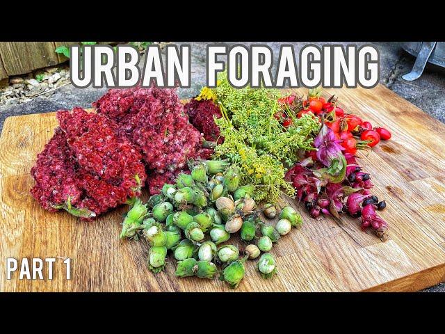 Urban Foraging