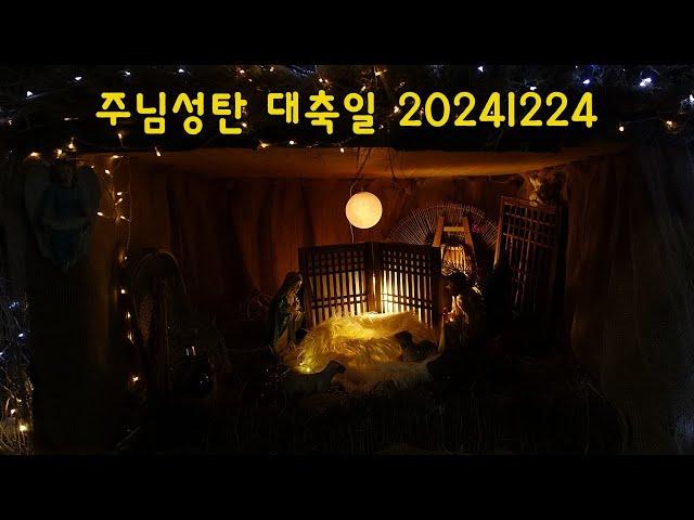 인천교구 대야동성당 주님성탄대축일 20241224