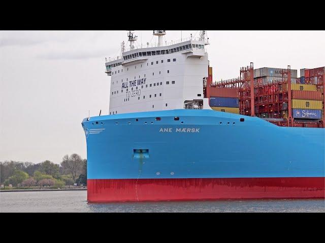 NEW 349m CONTAINER SHIP ANE MAERSK LEAVES THE PORT OF HAMBURG GERMANY - 4K SHIPSPOTTING MARCH 2024