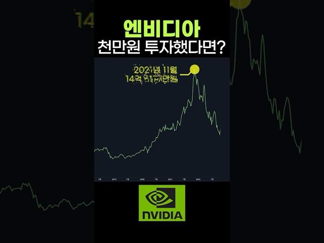 엔비디아 2010년에 천만원 넣었으면?