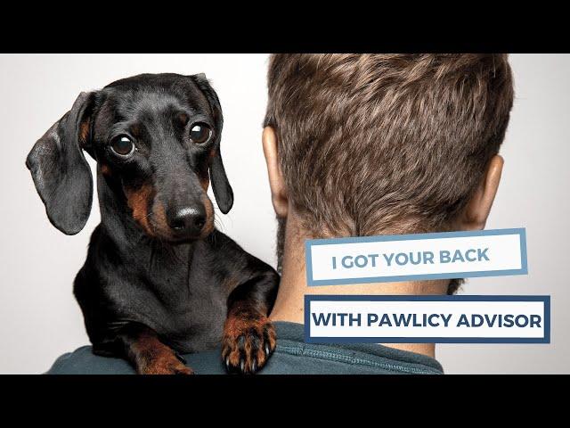 Find the Best Pet Insurance on This Marketplace | Pawlicy Advisor