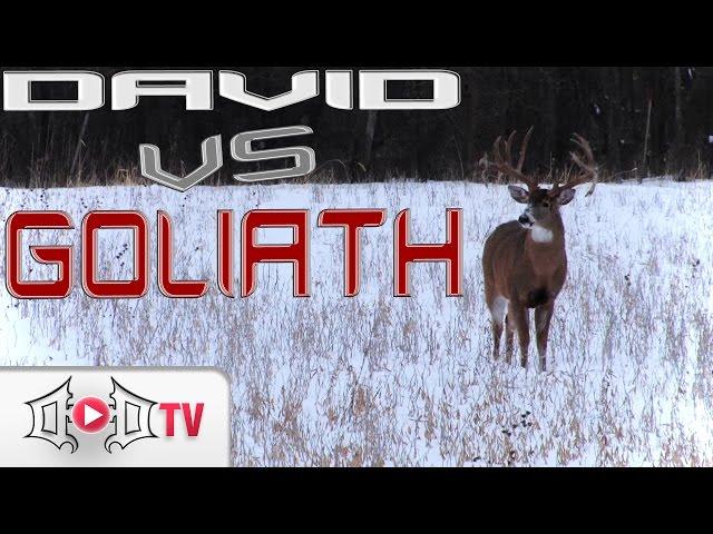 DAVID VS GOLIATH: Largest Wild Buck EVER Caught On Camera