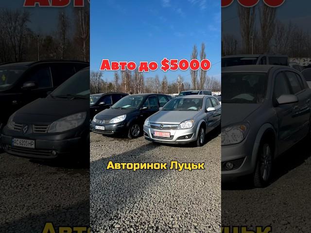 Ціни на дешеві авто на Луцькому авторинку ️ (097) 771-98-00 #колоритмоторс #автопідбір #автобазар