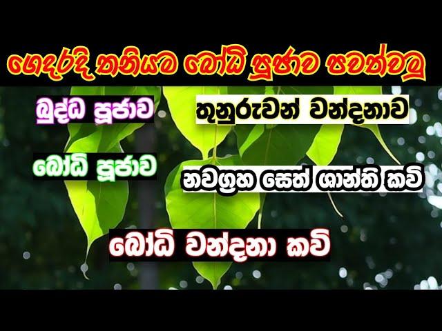 බෝධි පූජාව (සම්පූර්ණ) | Bodhi poojawa #bodhi pooja #sethkavi #nawagrahasethshanthi #pansil