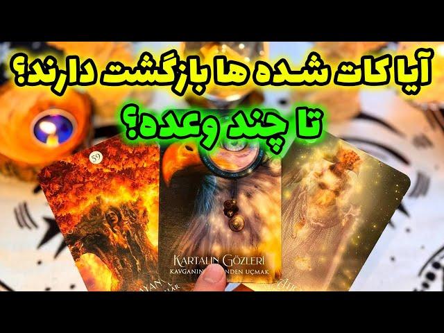 فال تاروت مرلین - آیا کات شده ها بازگشت دارند؟ تا چند وعده؟