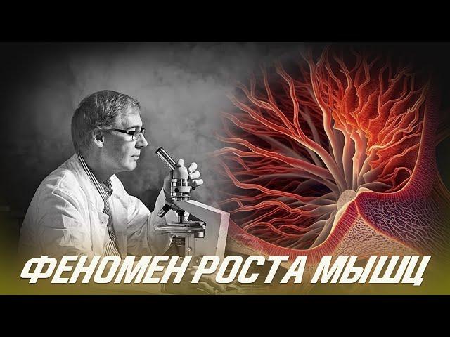 Научный Феномен Роста Мышц Перекрестная адаптация