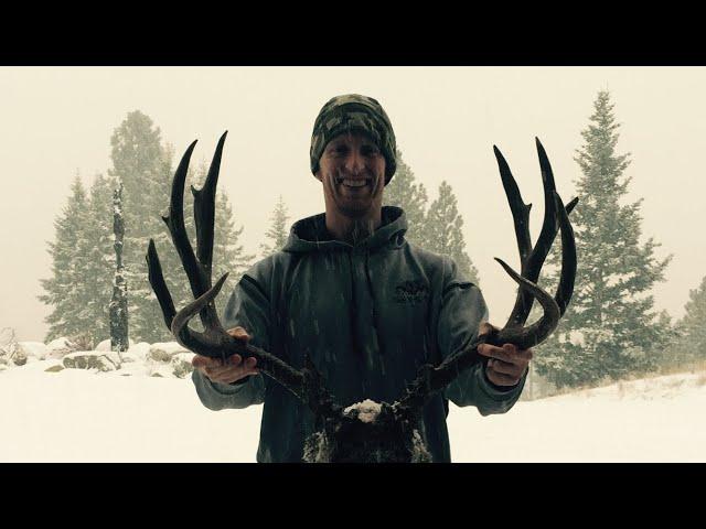 How To Hunt "BIG" Mule Deer Bucks - Stuck N The Rut