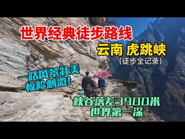 雲南虎跳峽徒步全紀錄，世界經典徒步路線，行走在落差3900米的峽谷之上，一路風景壯美，驚險刺激！