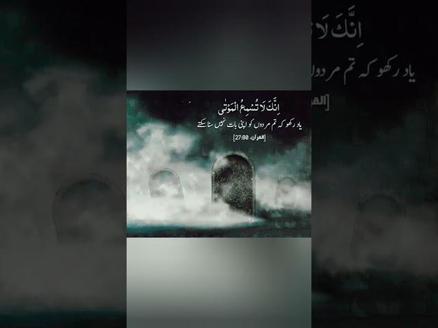 Quran translation/ trending/ Official/viral