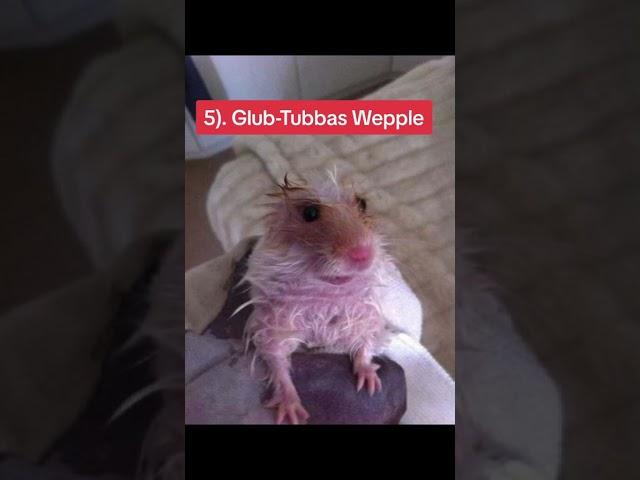 Top 10 Goobie Woobies     #shorts #shortvideo #youtubeshorts #youtube