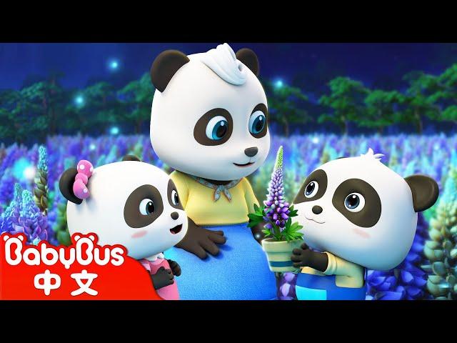 閃閃的淚光~魯冰花 | 經典中文兒歌 | 熱門國語兒歌 | Kids Song | 童謠 | 動畫 | 卡通片 | BabyBus | 寶寶巴士