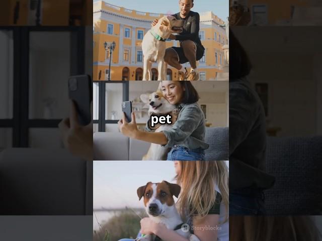 The Science Behind Pet Behavior #pets
