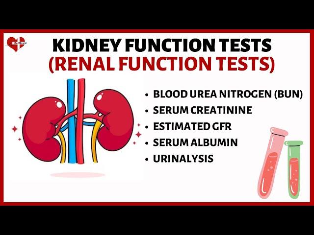 Kidney Function Tests (KFT's) Explained| Serum Creatinine, Serum Albumin, BUN, eGFR, and Urinalysis