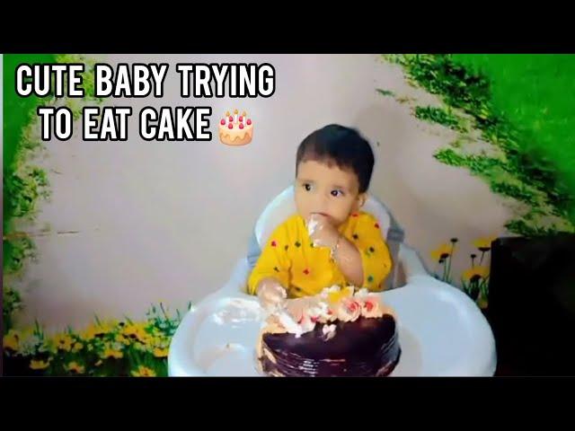 How to eat Cake  | Little Baby is Trying to Eat Cake | 9th Months Baby Food