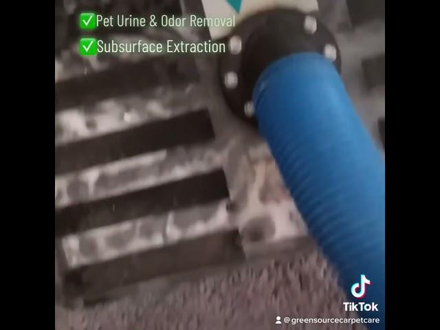 Pet odor removal - carpet #odorremoval #carpetcleaning #greensourcecarpetcare