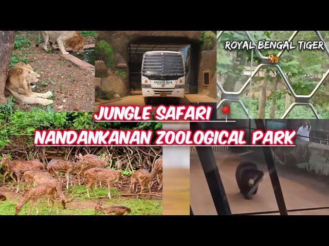 Nandankanan Zoological Park Jungle Safari By Bus| #zoo #forest #forestsafari #lion #tiger #deer