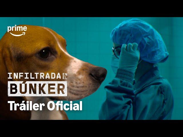 Infiltrada en el búnker | Tráiler Oficial | Prime Video España