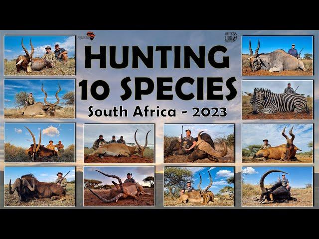 Hunting South Africa, 12 animals, 10 species with White Lion Safaris