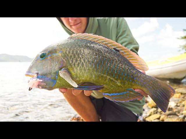 Fishing the WHITSUNDAYS | Tropical reef fishing FNQ