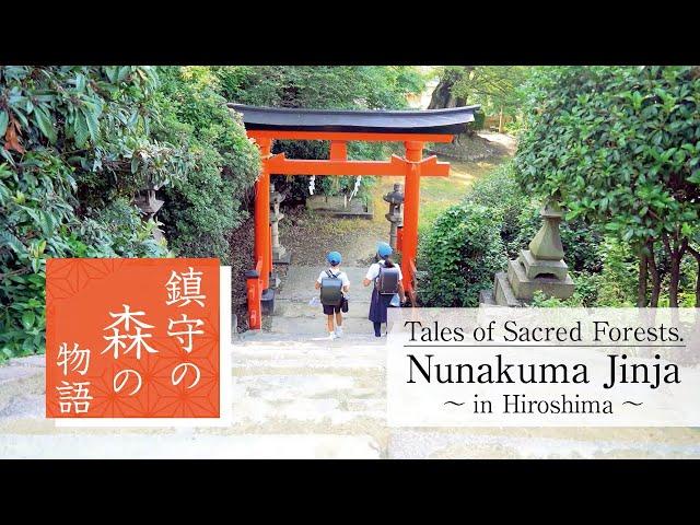 Tales of Sacred Forests: Nunakuma Jinja in Hiroshima Prefecture