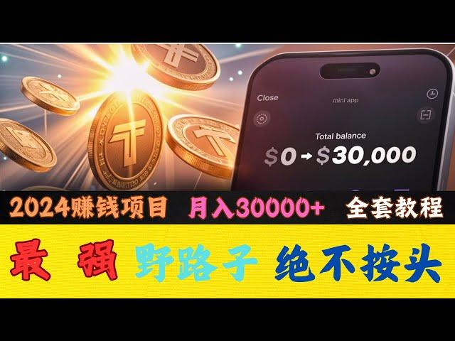 2024最新网络赚钱，灰产 野路子 偏门 项目，教你每天网赚1000USDT 纯兼职副业（老鬼聊灰产）