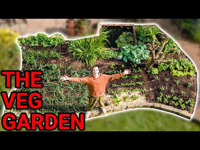 Growing a Vegetable Garden - Day 1 to Day 150