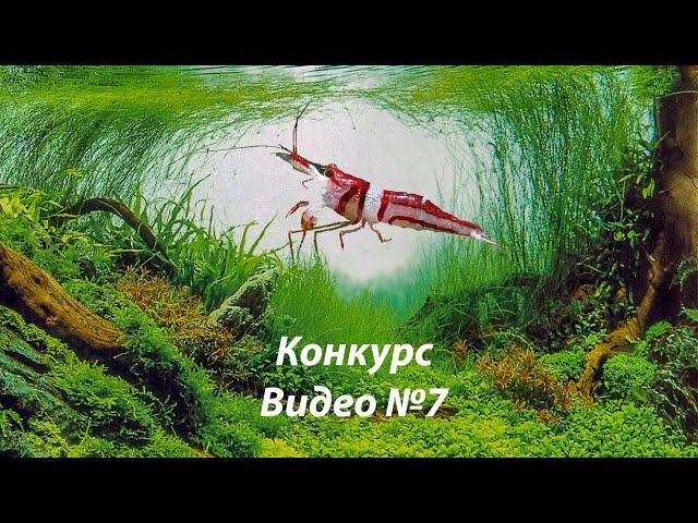 Номер 07