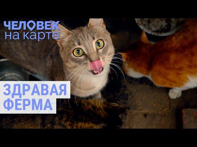 Сельское хозяйство по эко-стандартам | ЧЕЛОВЕК НА КАРТЕ