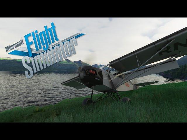 It might as well be a helicopter | Bush Flying in the Shock Ultra Cub | MSFS 2020