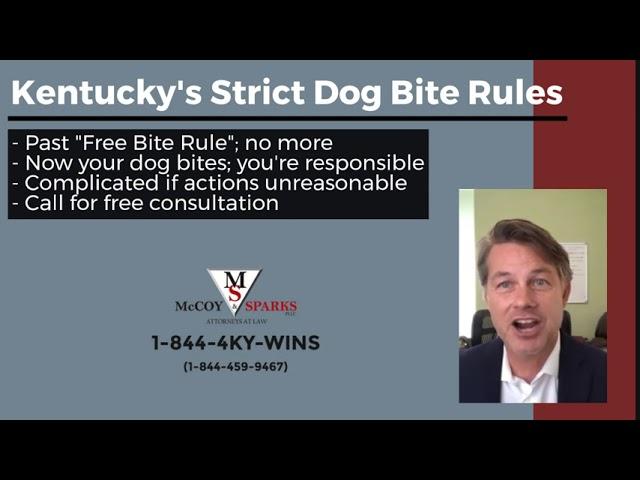 Kentucky's Strict Dog Bite Laws | McCoy and Sparks Law Firm