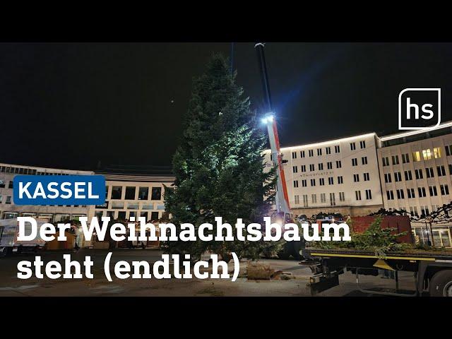 Er steht! Weihnachtsbaum in Kassel nachts auf Königsplatz aufgestellt | hessenschau