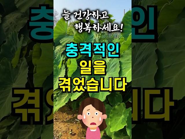 5억에 시골땅 샀다가 충격적인 일