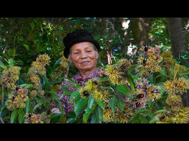 Grandma uses thorny ingredients to make Chinese cakes