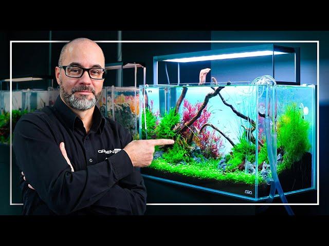 A Perfect Tutorial to Start Your FIRST Planted Aquarium