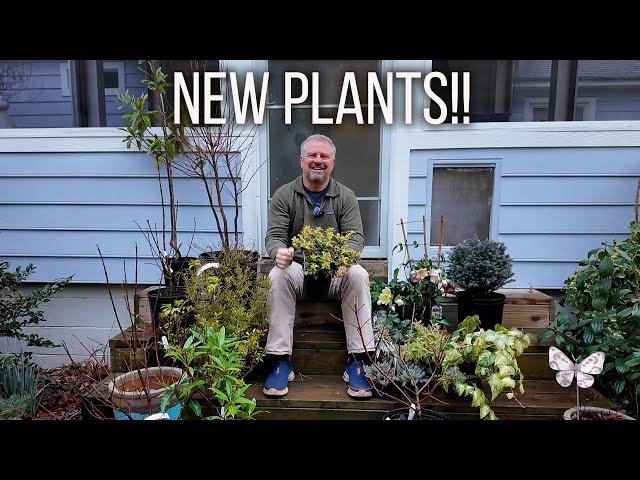 10 Awesome New Plants for the Garden