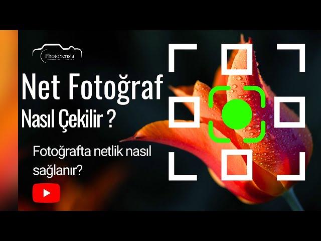 Net Fotoğraf Çekme İpuçları - Fotoğrafta Netlik Nasıl Sağlanır?